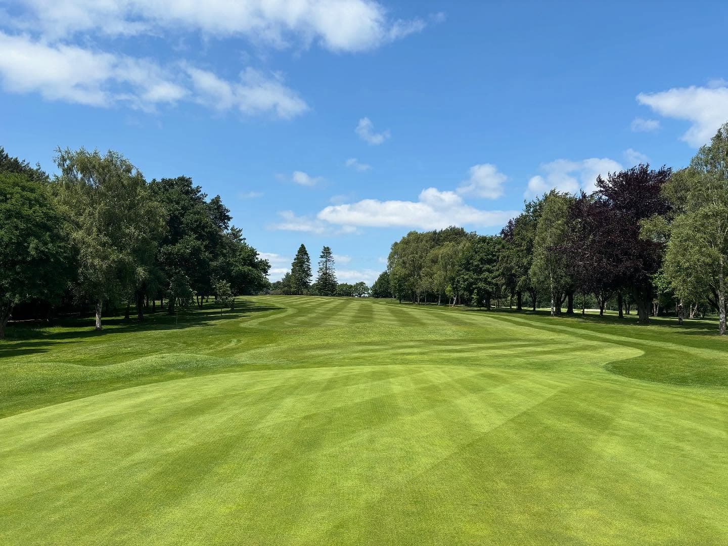 A long striped Trentham fairway framed by mature trees under a blue sky